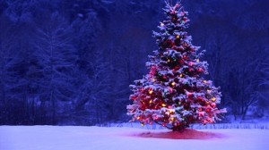 Israel tries to ban Christmas trees