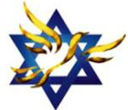 Liberal Democrat Friends of Israel