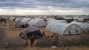 Dadaab_refugee_camp