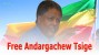 Free Andargachew Tsige