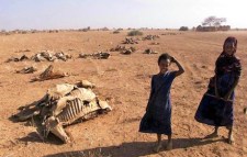 Ethiopian drought 2016