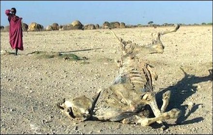 Climate change impact