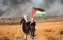 Palestinian Authority on verge of collapse?