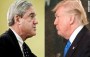 Mueller and Trump