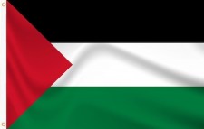 Palestine flag